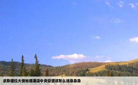 求助哪位大侠知道酒店中央空调该怎么选急急急