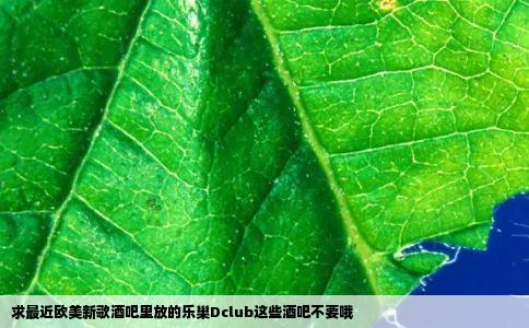 求最近欧美新歌酒吧里放的乐巢Dclub这些酒吧不要哦