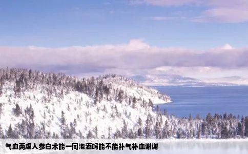 气血两虚人参白术能一同泡酒吗能不能补气补血谢谢