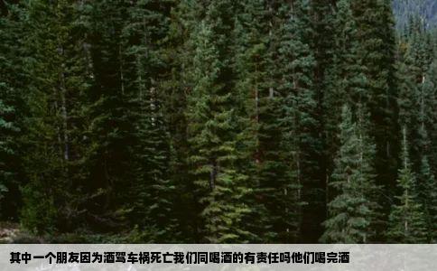 其中一个朋友因为酒驾车祸死亡我们同喝酒的有责任吗他们喝完酒