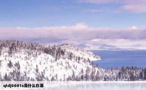 qldj0001s是什么白酒