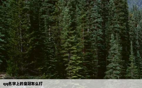 qq名字上的皇冠怎么打