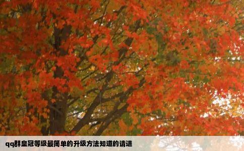 qq群皇冠等级最简单的升级方法知道的请进