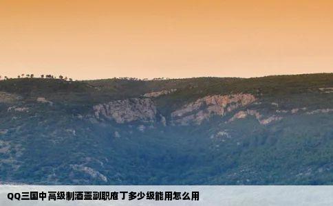 QQ三国中高级制酒壶副职庖丁多少级能用怎么用