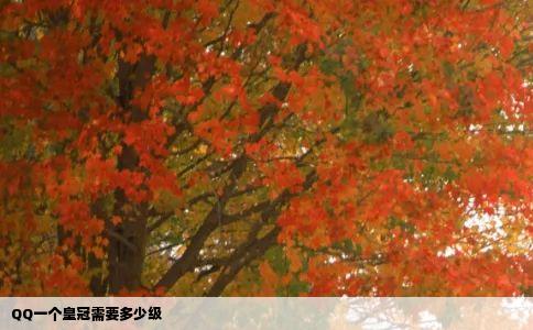 QQ一个皇冠需要多少级