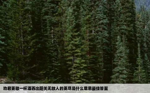 劝君更敬一杯酒西出阳关无故人的更尽是什么意思最佳答案