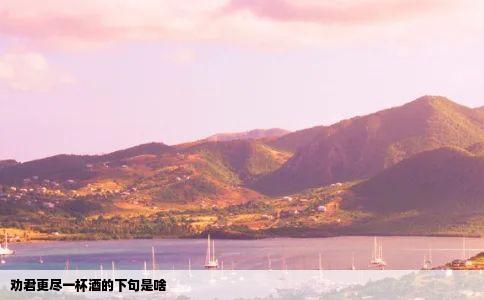 劝君更尽一杯酒的下句是啥