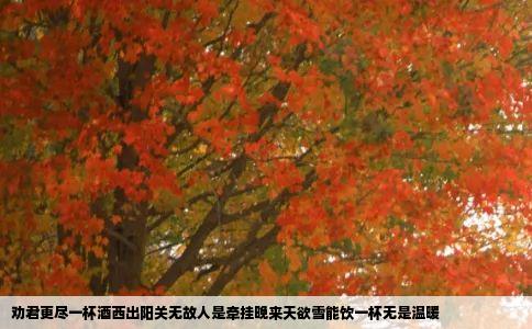 劝君更尽一杯酒西出阳关无故人是牵挂晚来天欲雪能饮一杯无是温暖