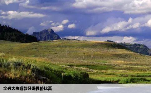 全兴大曲哪款好喝性价比高