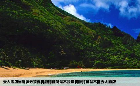 去大酒店当厨师必须要有厨师证吗是不是没有厨师证就不能去大酒店