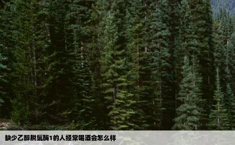 缺少乙醇脱氢酶1的人经常喝酒会怎么样