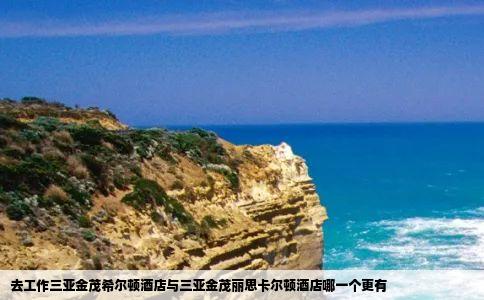 去工作三亚金茂希尔顿酒店与三亚金茂丽思卡尔顿酒店哪一个更有