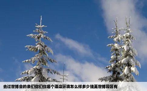 去过世博会的亲们你们住哪个酒店环境怎么样多少钱离世博园区有