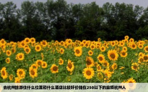 去杭州旅游住什么位置和什么酒店比较好价钱在250以下的麻烦杭州人