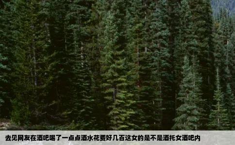 去见网友在酒吧喝了一点点酒水花费好几百这女的是不是酒托女酒吧内