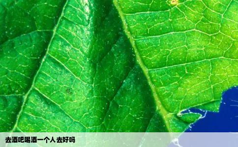 去酒吧喝酒一个人去好吗