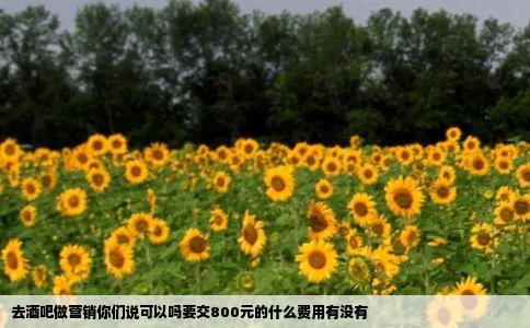 去酒吧做营销你们说可以吗要交800元的什么费用有没有