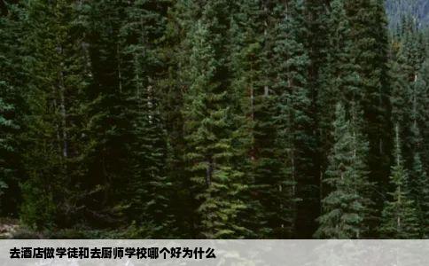 去酒店做学徒和去厨师学校哪个好为什么
