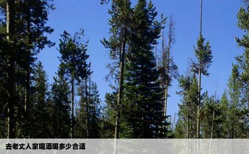 去老丈人家喝酒喝多少合适