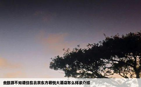去旅游不知道住在北京东方君悦大酒店怎么样求介绍