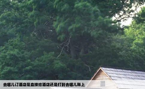 去哪儿订酒店是直接给酒店还是打到去哪儿账上