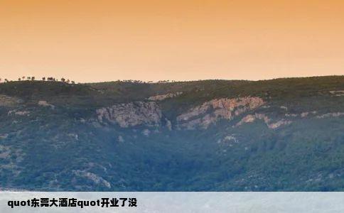 quot东莞大酒店quot开业了没