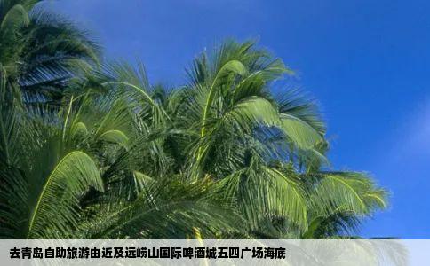 去青岛自助旅游由近及远崂山国际啤酒城五四广场海底