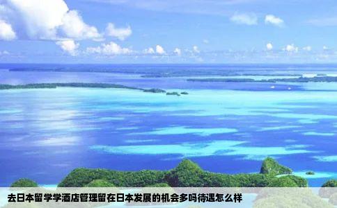 去日本留学学酒店管理留在日本发展的机会多吗待遇怎么样