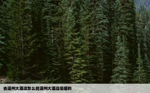 去温州大酒店怎么找温州大酒店是哪的