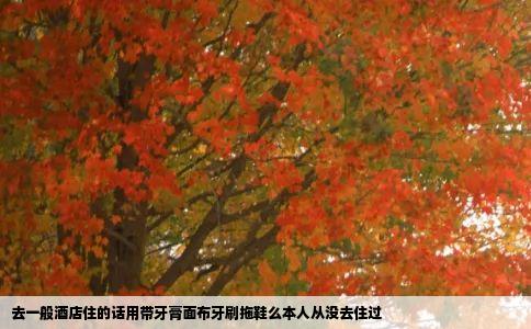 去一般酒店住的话用带牙膏面布牙刷拖鞋么本人从没去住过