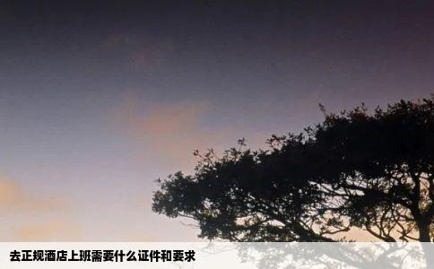 去正规酒店上班需要什么证件和要求