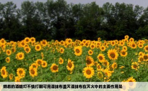 燃着的酒精灯不慎打翻可用湿抹布盖灭湿抹布在灭火中的主要作用是