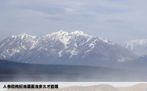 人参和枸杞泡酒要泡多久才能喝