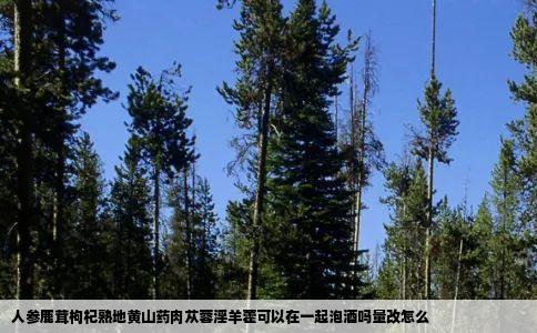 人参鹿茸枸杞熟地黄山药肉苁蓉淫羊藿可以在一起泡酒吗量改怎么