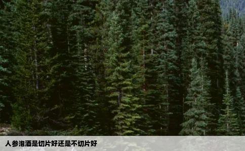 人参泡酒是切片好还是不切片好