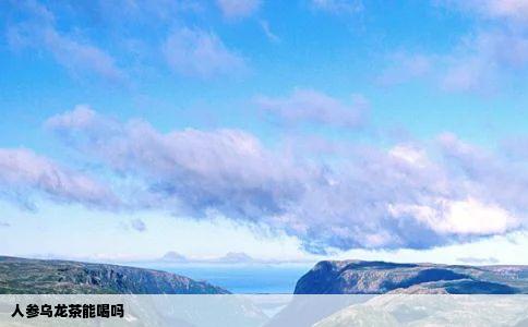 人参乌龙茶能喝吗