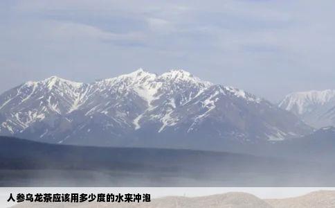 人参乌龙茶应该用多少度的水来冲泡
