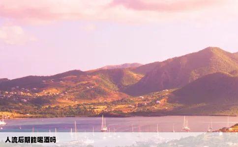 人流后期能喝酒吗