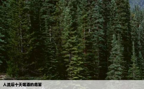 人流后十天喝酒的危害