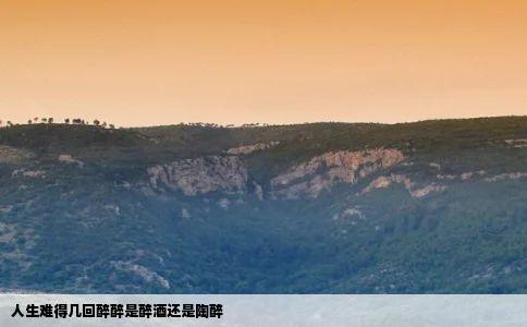 人生难得几回醉醉是醉酒还是陶醉