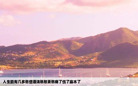 人生能有几多愁借酒浇愁愁更愁痛了伤了麻木了