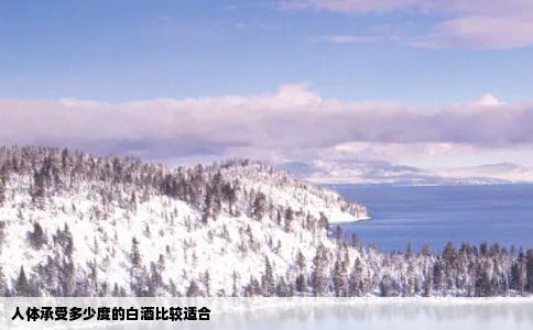 人体承受多少度的白酒比较适合