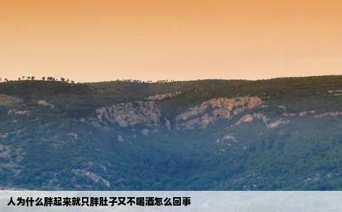 人为什么胖起来就只胖肚子又不喝酒怎么回事