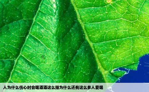 人为什么伤心时会喝酒酒这么辣为什么还有这么多人爱喝