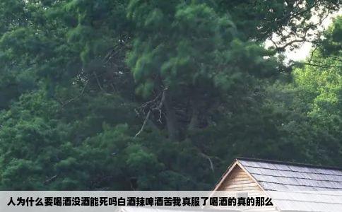 人为什么要喝酒没酒能死吗白酒辣啤酒苦我真服了喝酒的真的那么
