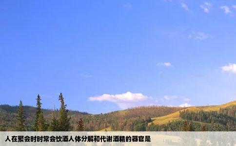 人在聚会时时常会饮酒人体分解和代谢酒精的器官是