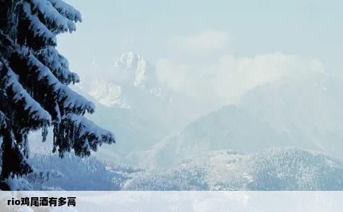 rio鸡尾酒有多高