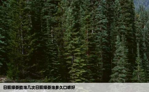 日照绿茶能泡几次日照绿茶泡多久口感好