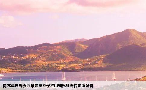 肉苁蓉巴戟天淫羊藿菟丝子淮山枸杞红枣能泡酒吗有