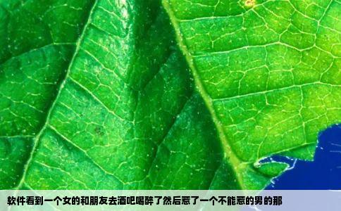 软件看到一个女的和朋友去酒吧喝醉了然后惹了一个不能惹的男的那